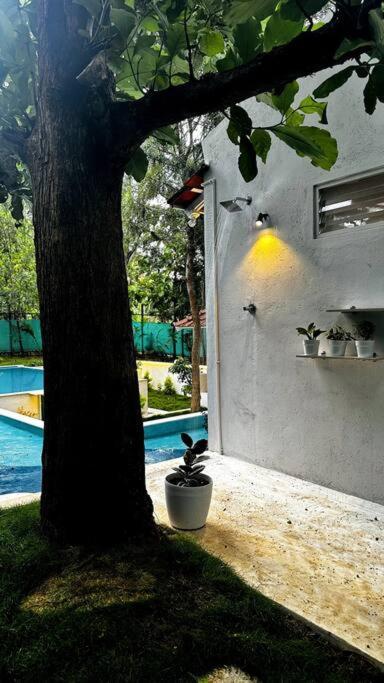 Serenity Farm Stay Hampāpura Exterior foto