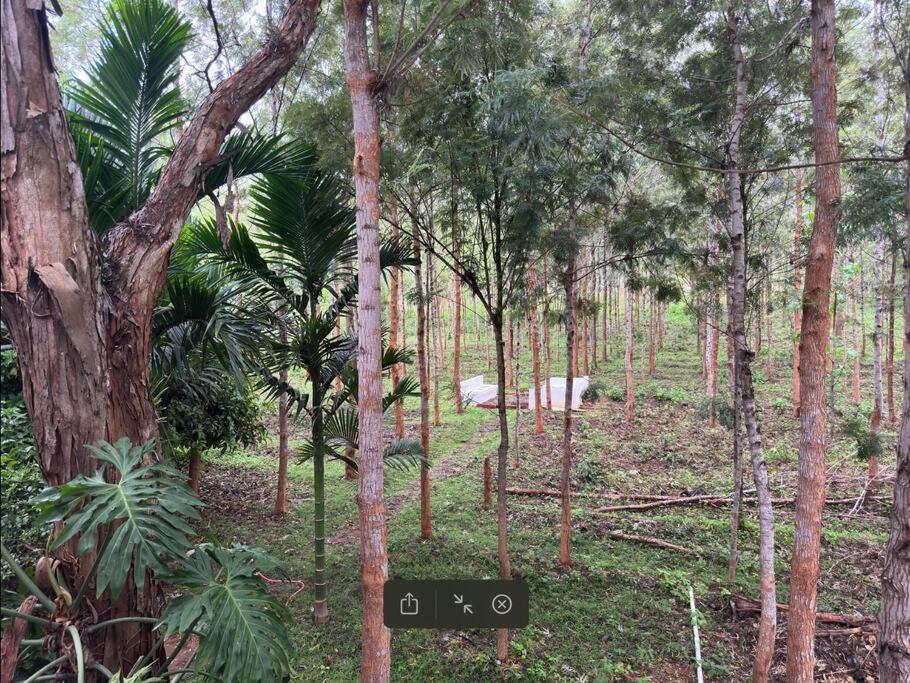 Serenity Farm Stay Hampāpura Exterior foto